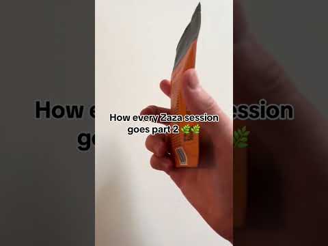 How Every Zaza Session Goes Part 2