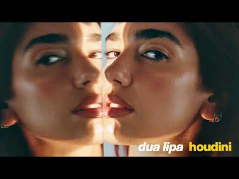 Dua Lipa - Houdini (Official Instrumental)