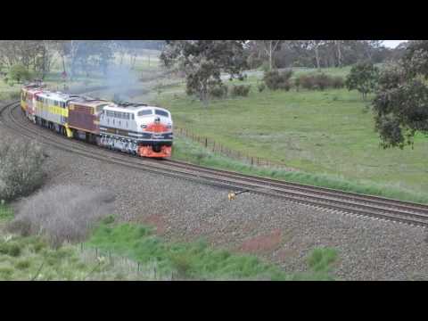 B61 4204 GM27 S317 B65 GM10 S306 S302 GM1=D377 Yarra NSW 4-10-2016