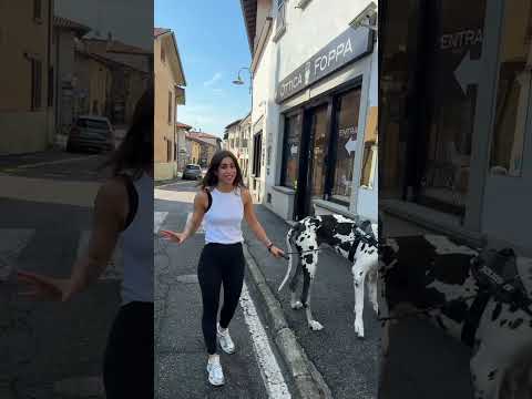 parte 1 secondo voi quale ha scelto Renatino???? #italy#pets#petworld #petslife#petslife #petlovers