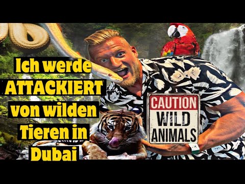 Wilde Tiere im Regenwald in der Wüste Dubais - The Green Planet