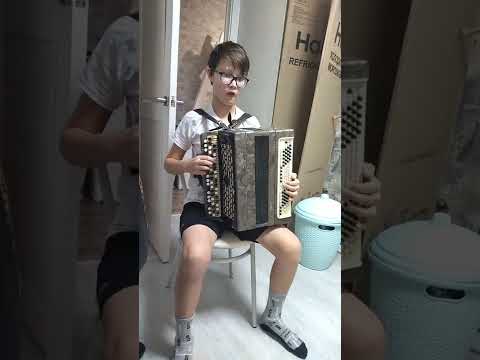 Баян 'Паровоз' 1 класс