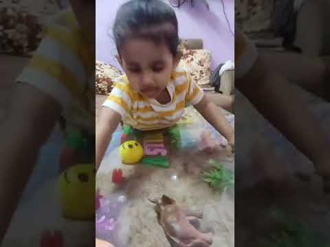 Animals kingdom  My animals give me back 🤗