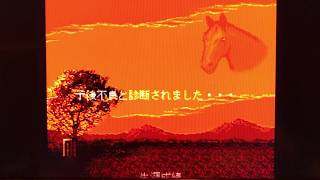 ダビスタ2＃３ いよいよダービー出走！！