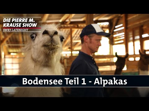 Bodensee Teil 1 – Alpakas | PMKS 568