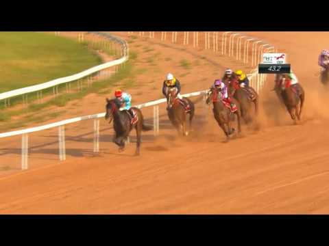 Race 3- CECF Ordos 2016 Caribbean Cup 1,200m