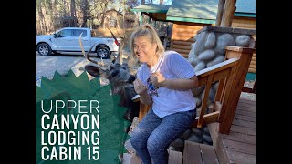 Upper Canyon Lodging Cabin 15 Ruidoso NM