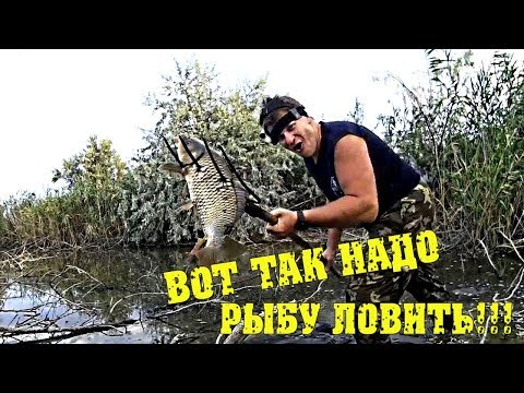 Поймал сазана // Как я на рыбалку ходил.. // Жизнь в деревне