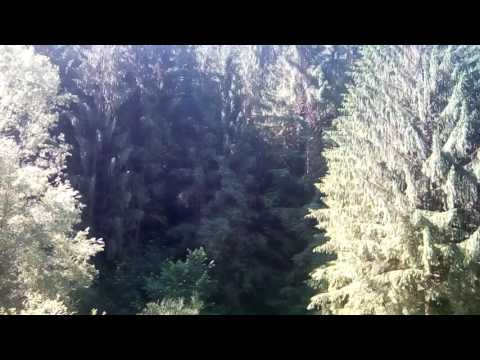 Undeva in Tomești . județul Timiș