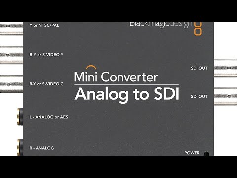 Umid Granicus Live Stream