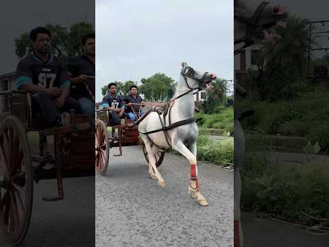 🔥A@ RAH€ HA! HUM 🙏🏻BH0LENATH K! NAGR! ❣️