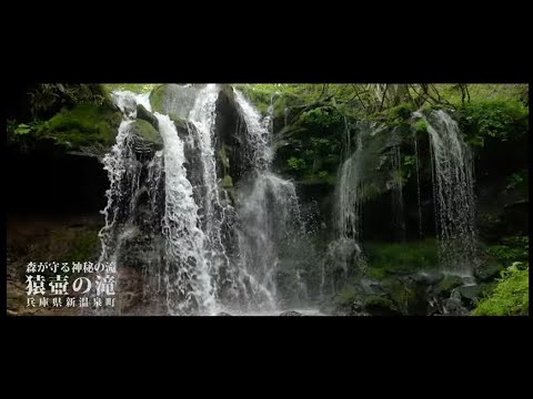 森が守る神秘の滝 猿壺の滝
