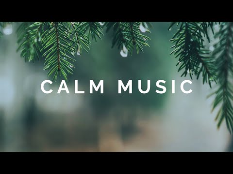 Relaxing Music for Stress Relief, Calm, Study | Beautiful Nature & Rain Sounds