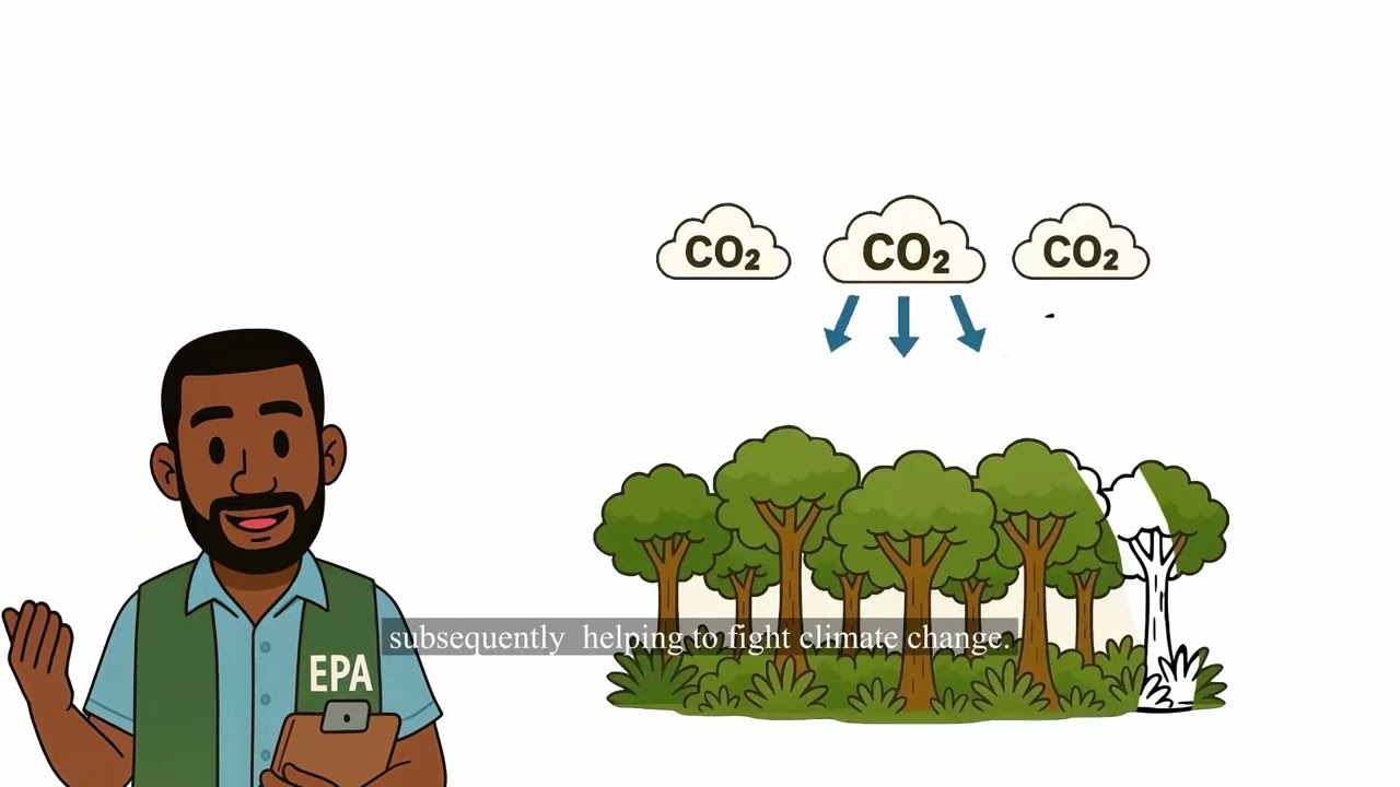 Part two - Understanding Climate Change