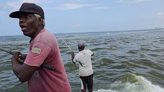 Download lagu Saya Belum Pernah Melihat Ikan Sebanyak Ini! mp3