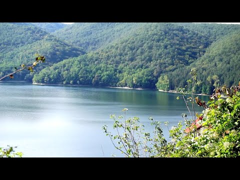 Lacul Cincis - O zi in natura - vlog de calatorie