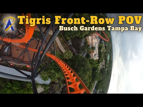 Front row point of view footage of Tigris