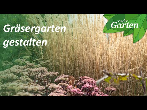 Abwechslung im Gräsergarten | MDR Garten