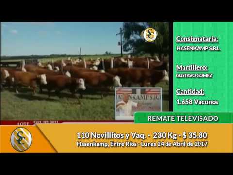 24-04-17 - Ventas del Remate Televisado de Consignataria Hasenkamp - Entre Ríos