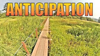 Anticipation