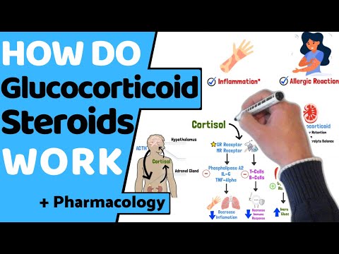 How do Corticosteroids Work?  (EASY Pharmacology)