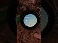 Alexa Read My Shopping List