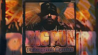 Brandy ft. Fat Joe &amp; Big Pun - Top of The World (Darkchild Remix)【432Hz】