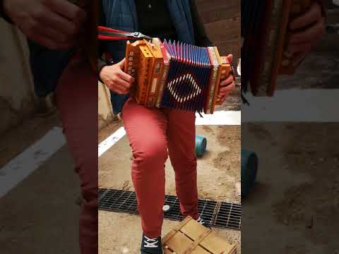 Tarantella ravagnisota (mario latella)