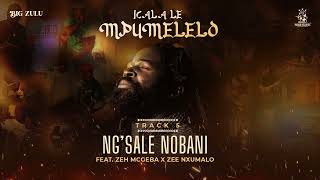 Download lagu 05. Big Zulu - Ng’Sale Nobani (ft. Zeh Mcgeba & Zee Nxumalo) [ Audio] mp3