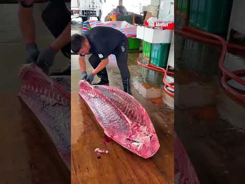 Efficient precision cut otoro from giant bluefin tuna you must see #otoro #bluefintuna #tunacutting