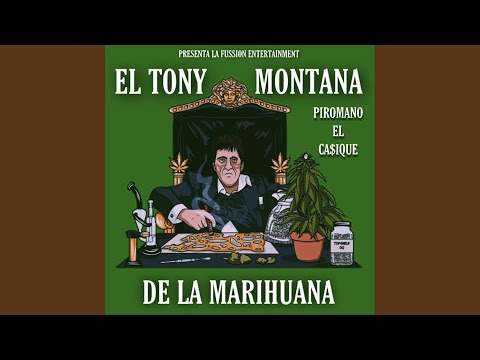 El Tony Montana de la Marihuana