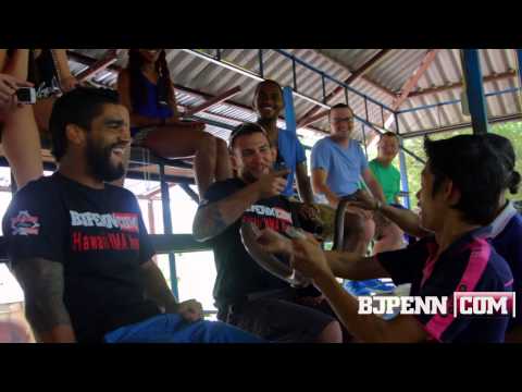 When King Cobras Attack! UFC Fighters Come Face-To-Face With Deadly Snakes