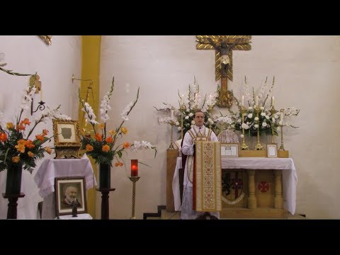 De la Feria Impresión de las Santas Llagas de San Francisco - Padre Pío y la Santidad de la Iglesia