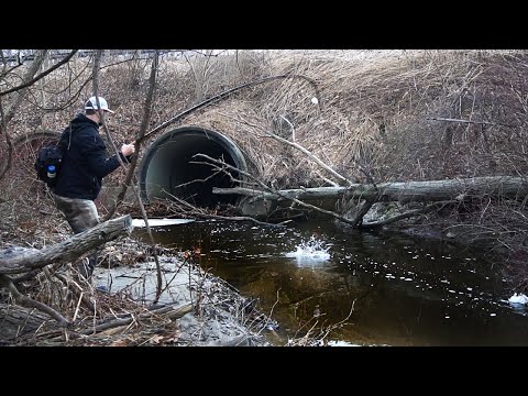 Spring Run Steelhead 2023 - Bobber Downs in TINY Creeks!