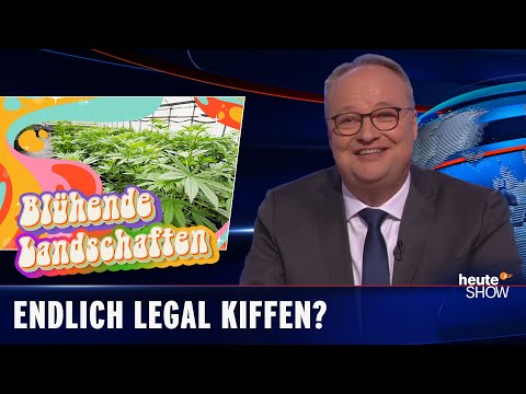 Marihuana: Přinese tisíce pracovních míst a příjmy z daní