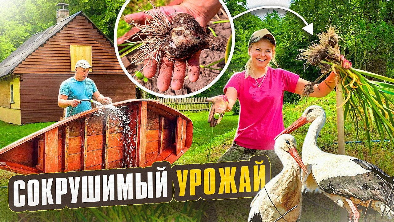 ПОРАЗИТЕЛЬНЫЙ УРОЖАЙ С КАРКАСНОЙ ГРЯДКИ! ЧТО У НАС ВЫРОСЛО В ЭТОМ ГОДУ? ПЛОДЫ
