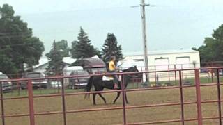 preview picture of video 'Tories first barrel race at the brookings riding club arena'