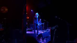 Guided By Voices  - Tropical Robots