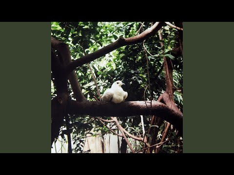 On Trees And Birds And Fire