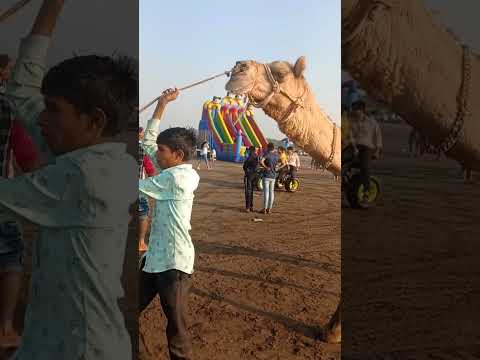 #Suwali beach #surat #gujrat