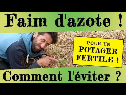 Fertility in the vegetable garden! Can we end nitrogen hunger?
