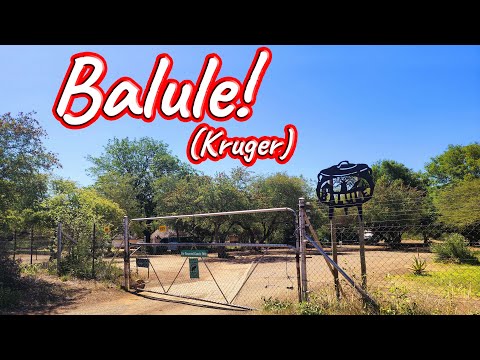 Balule Satellite Camp! Ep 432