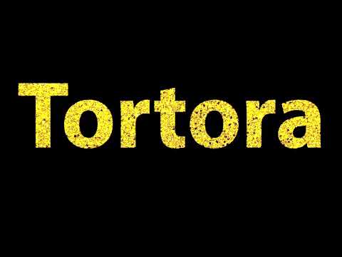 How To Pronounce Tortora