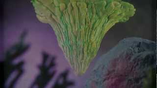 Austin Peralta / Sun Ra - Views of Saturn # 2 - Space Loneliness #2