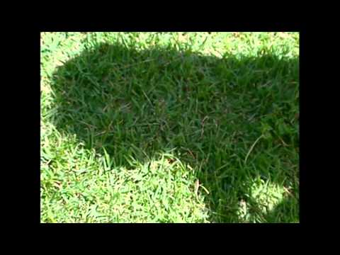 Você Pode ser Feliz 10/06/2013 - Parte 5/6