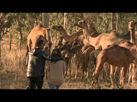 Temesgen Gebregziabher Temu   Mehaya mehaya   New Ethiopian Music 2016 Official Video