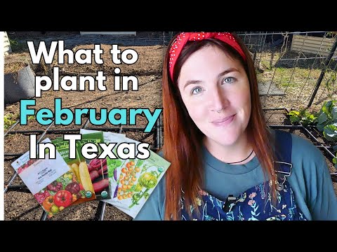 What to plant in February in Texas!