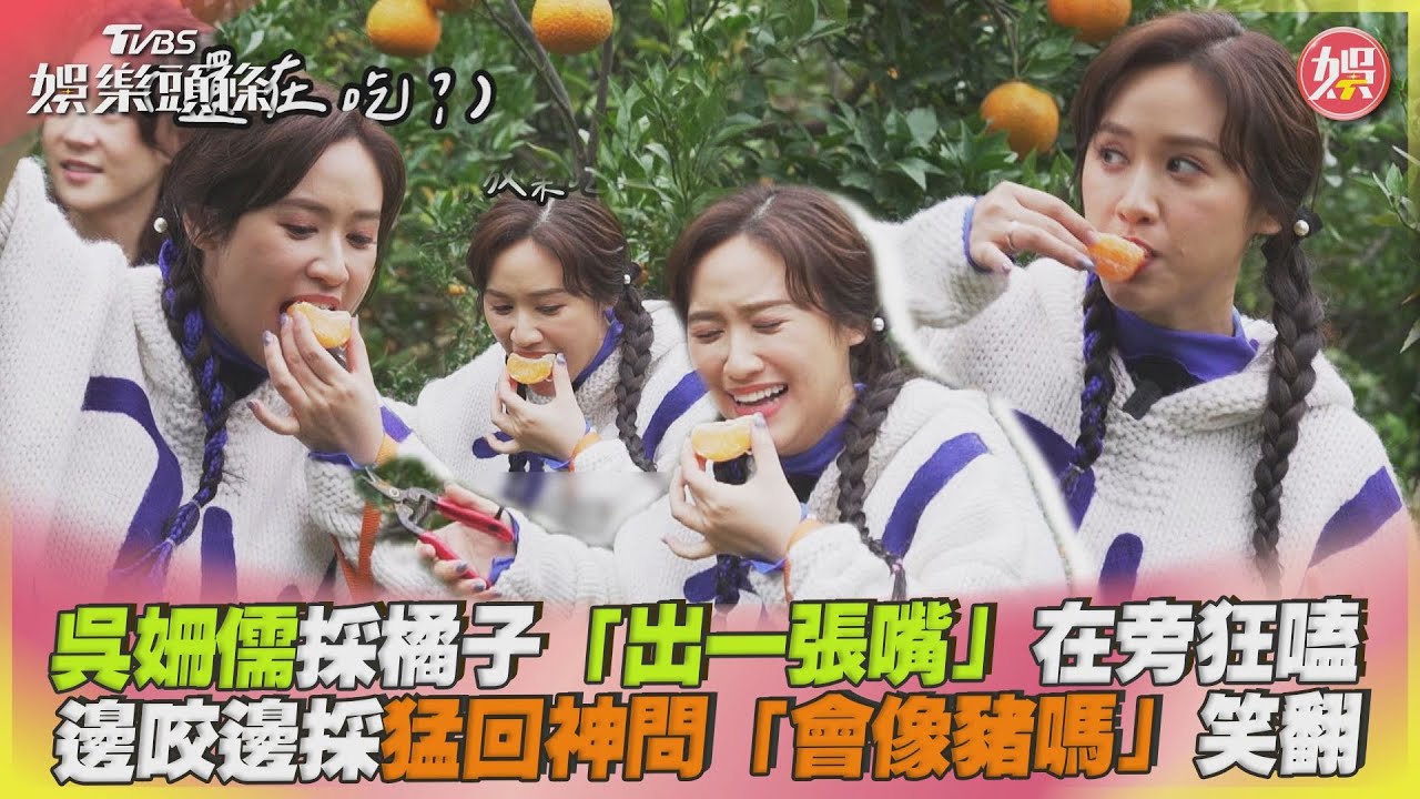 影音/吳姍儒採橘子「出一張嘴」在旁狂嗑 猛回神問「會像豬嗎」笑翻