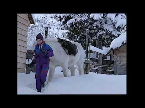 Vinterstemning på Løyning