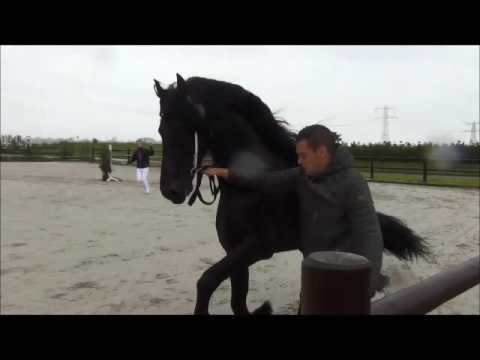 Hylke fan up to Date Michiel x Beart